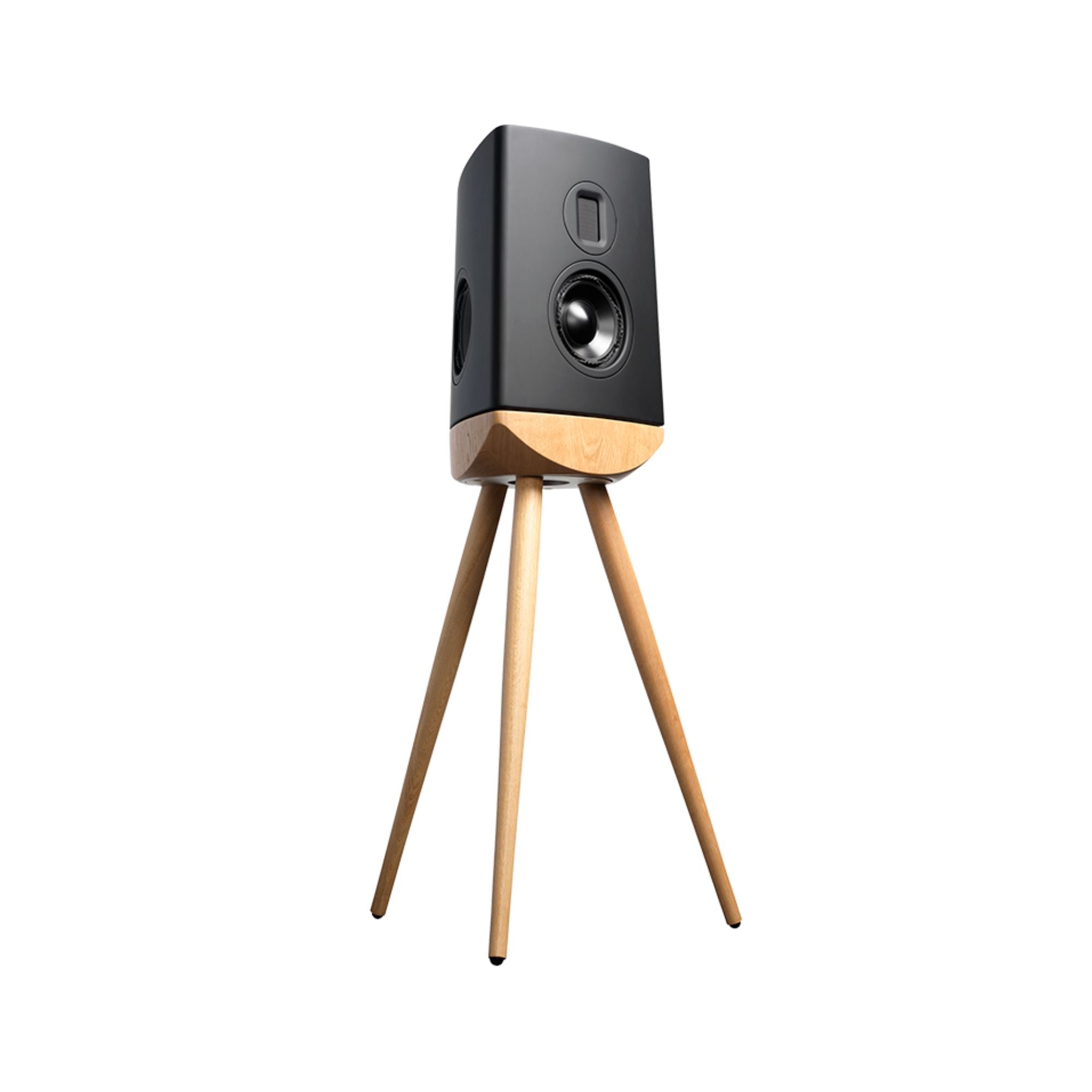 Lyngdorf Audio Cue-100 - Floor Standing Speaker - Pair, Lyngdorf Audio, StandMount Speaker - AVStore.in