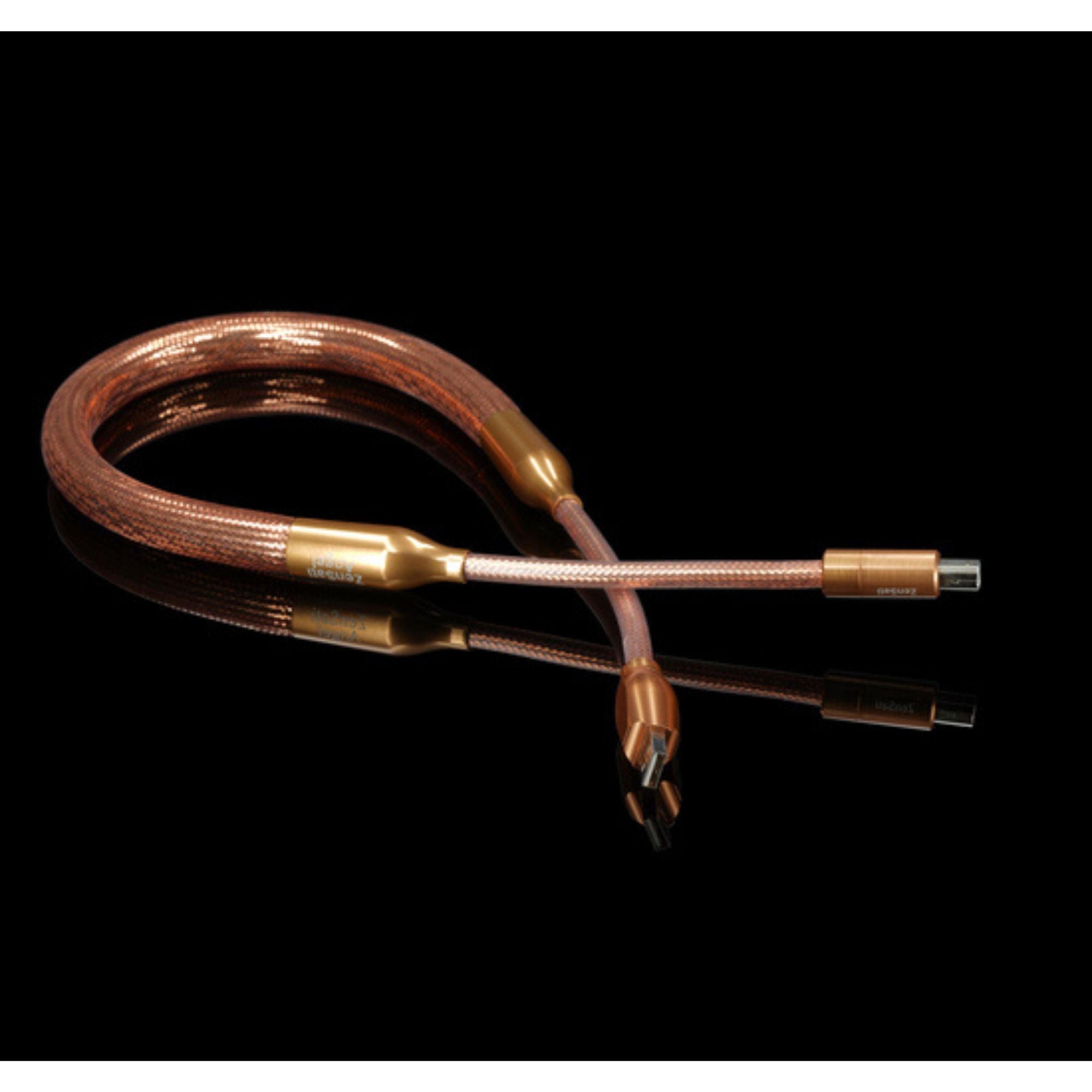 Angle USB, ZenSati, USB Cable - AVStore.in