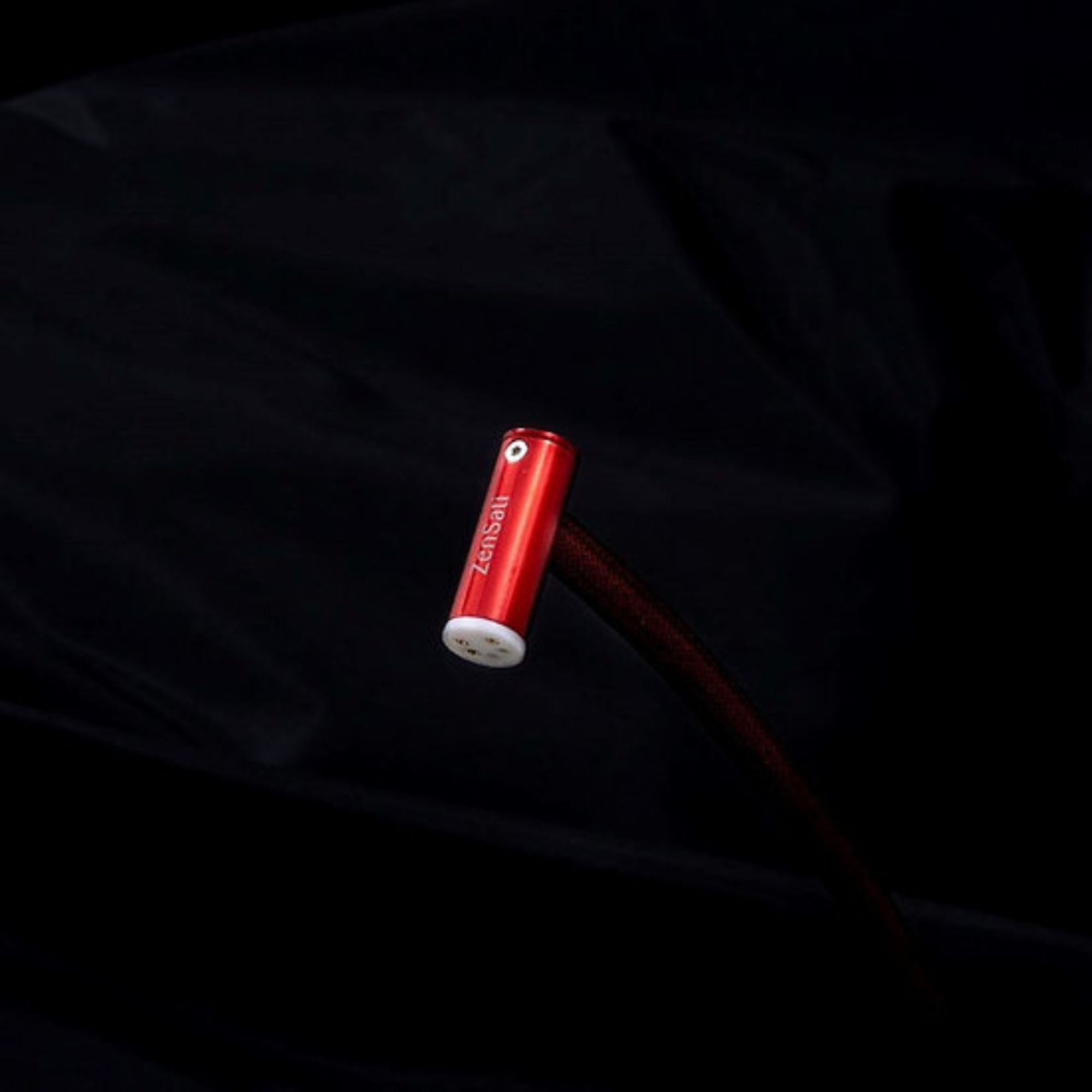 Zorro Phono, ZenSati, Digital Audio Cable - AVStore.in