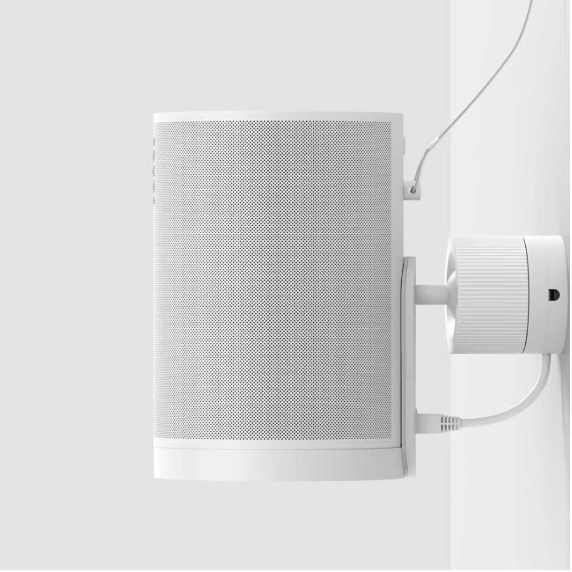 Sonos Flexson Era 100 Pro Surface Mount