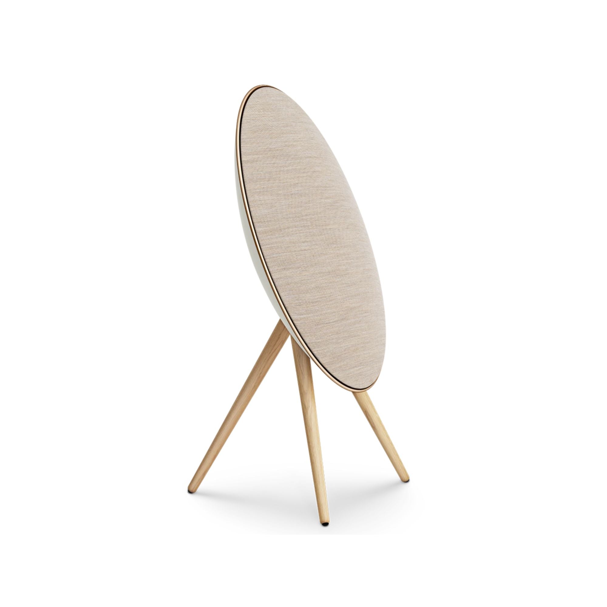 Bang & Olufsen Beosound A9 - (5th Gen) - Multiroom Wireless Streaming Speaker, Bang & Olufsen, Wireless Speaker - AVStore.in