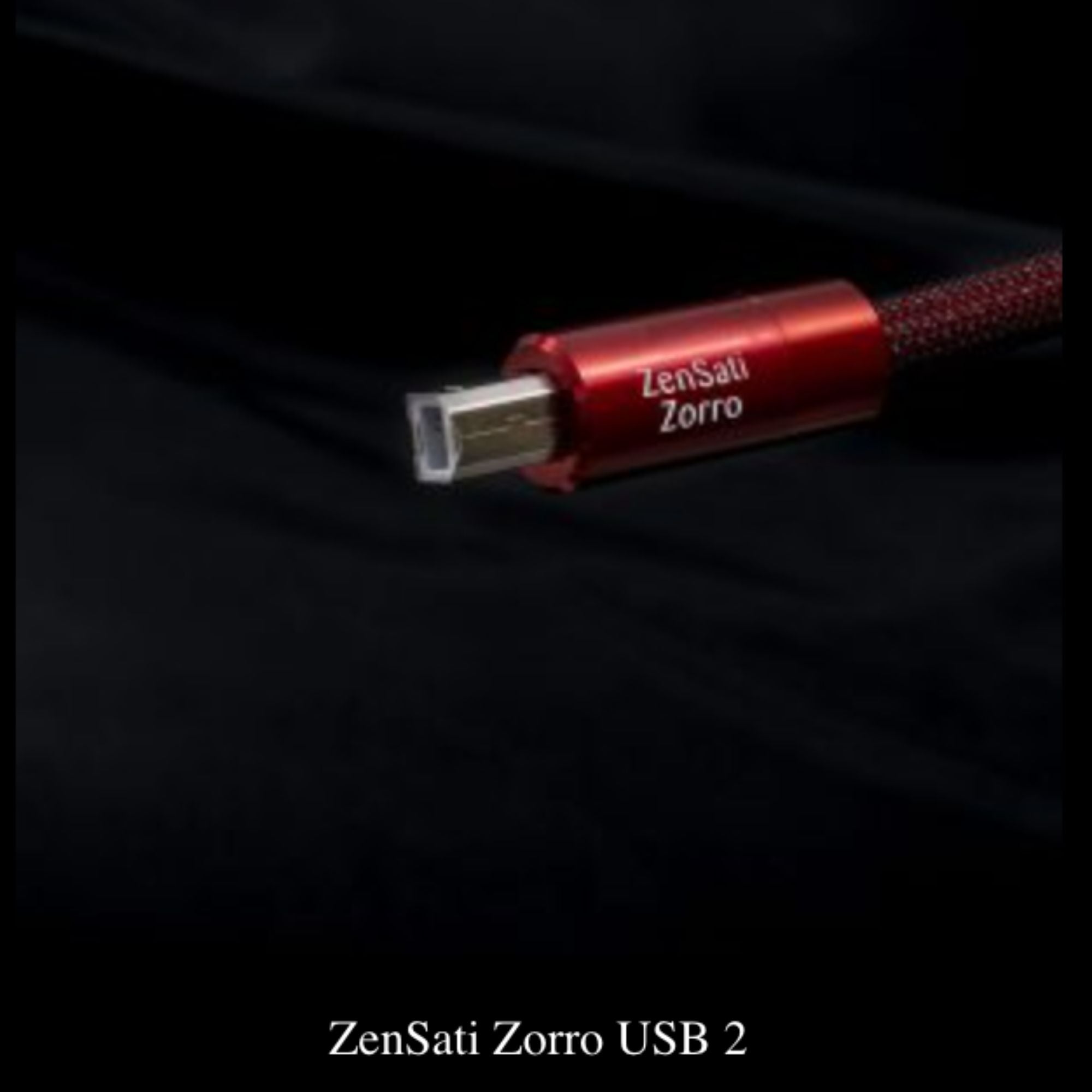 Zensati Zorro