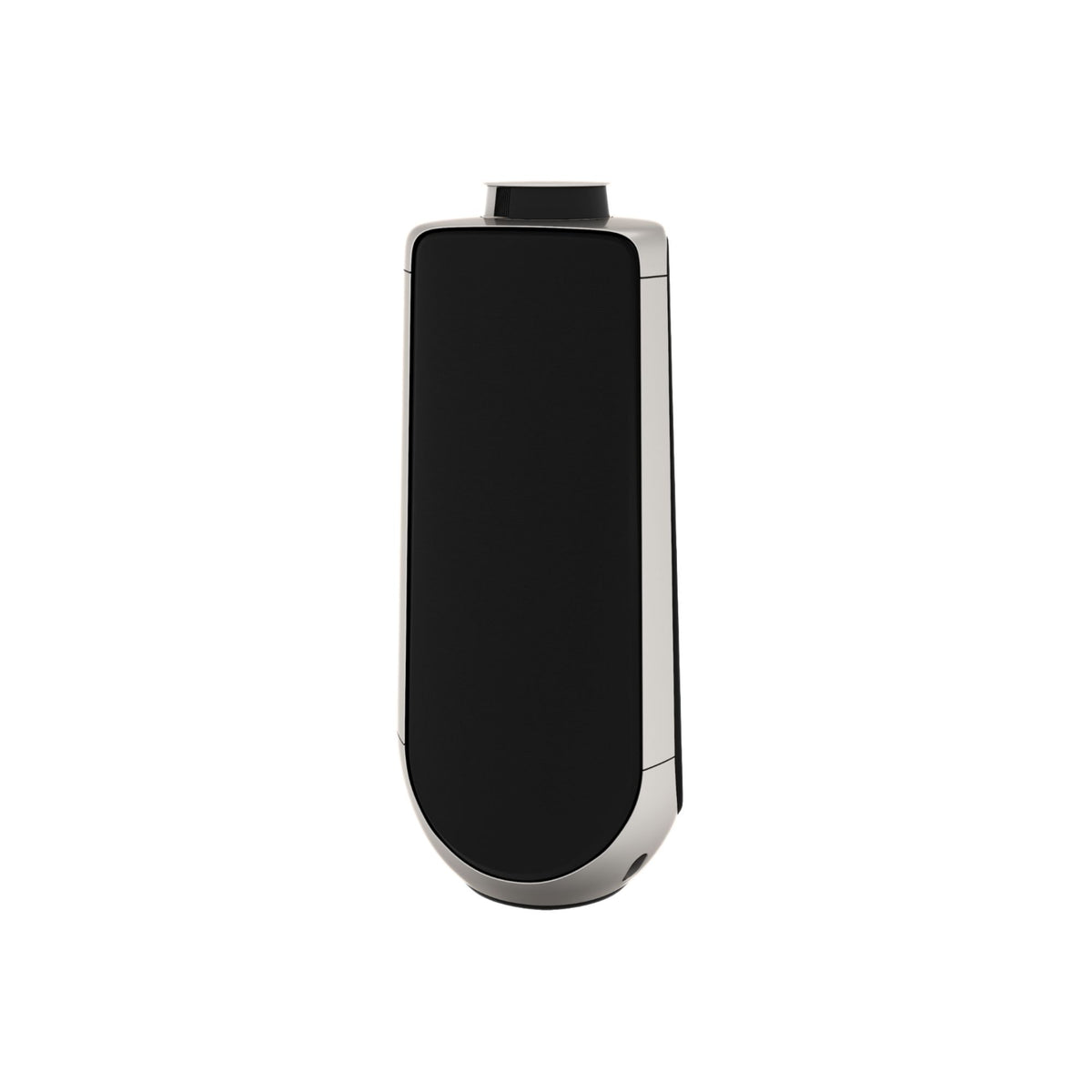 Bang & Olufsen Beolab 50 - Stereo Speakers