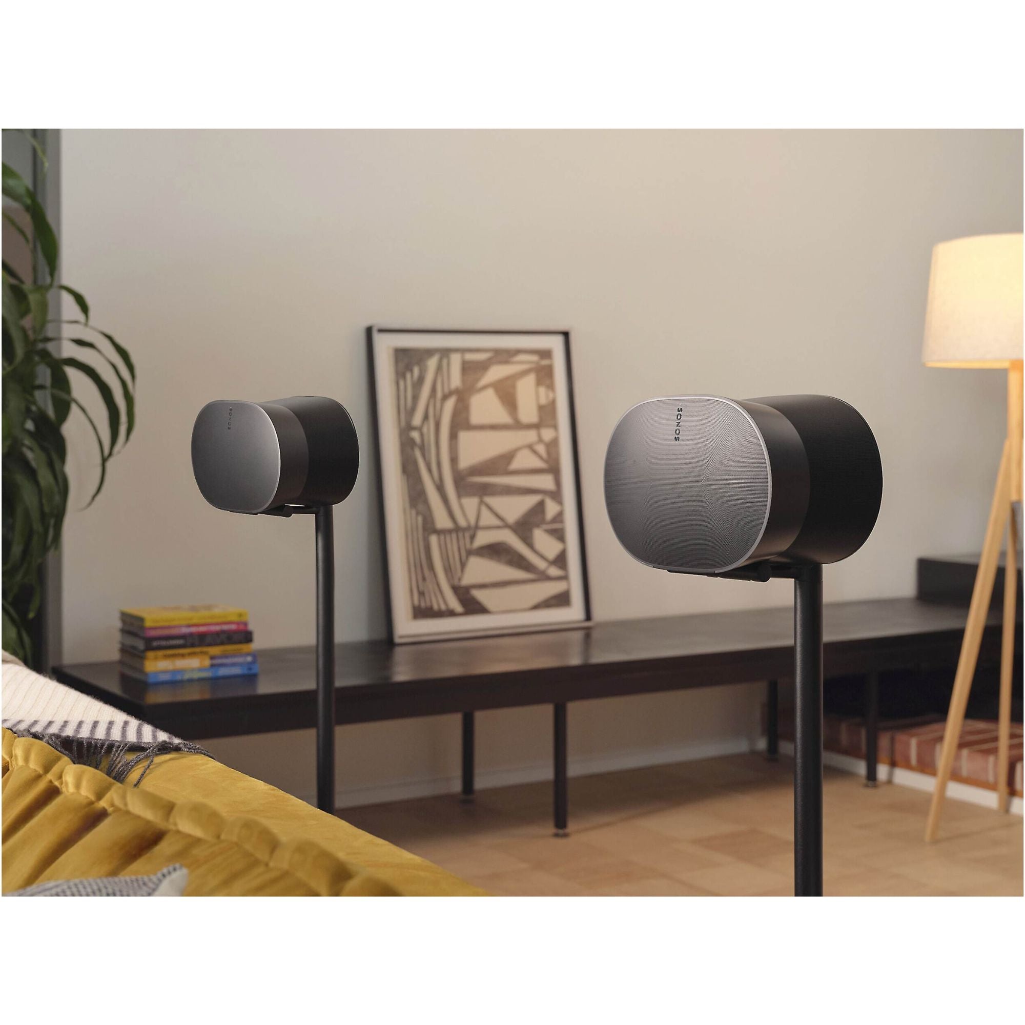 Sonos Era 300 - Wireless powered speaker, SONOS, Wireless Speaker - AVStore.in