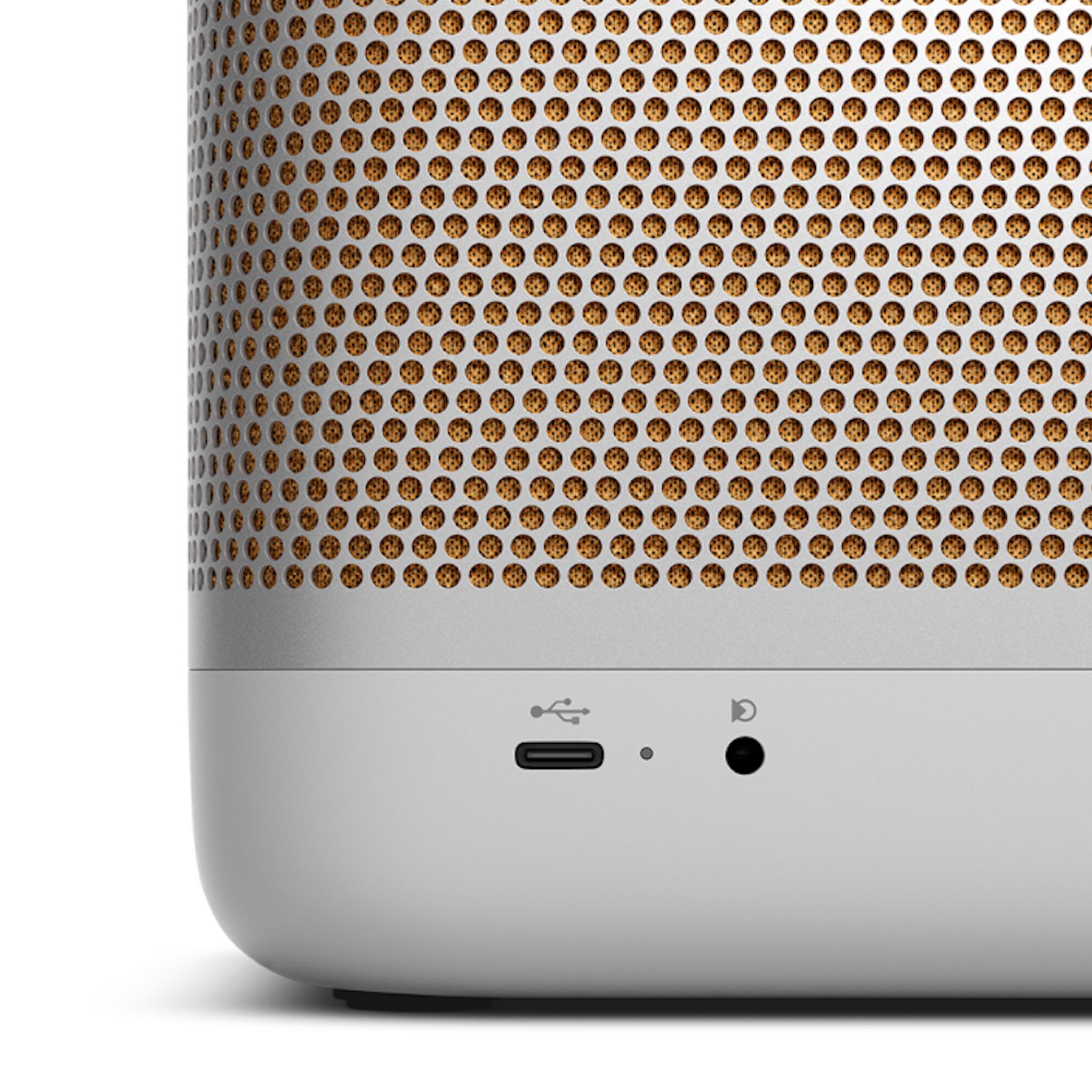 Bang & Olufsen Beolit 20 - Portable Bluetooth Speaker - AVStore