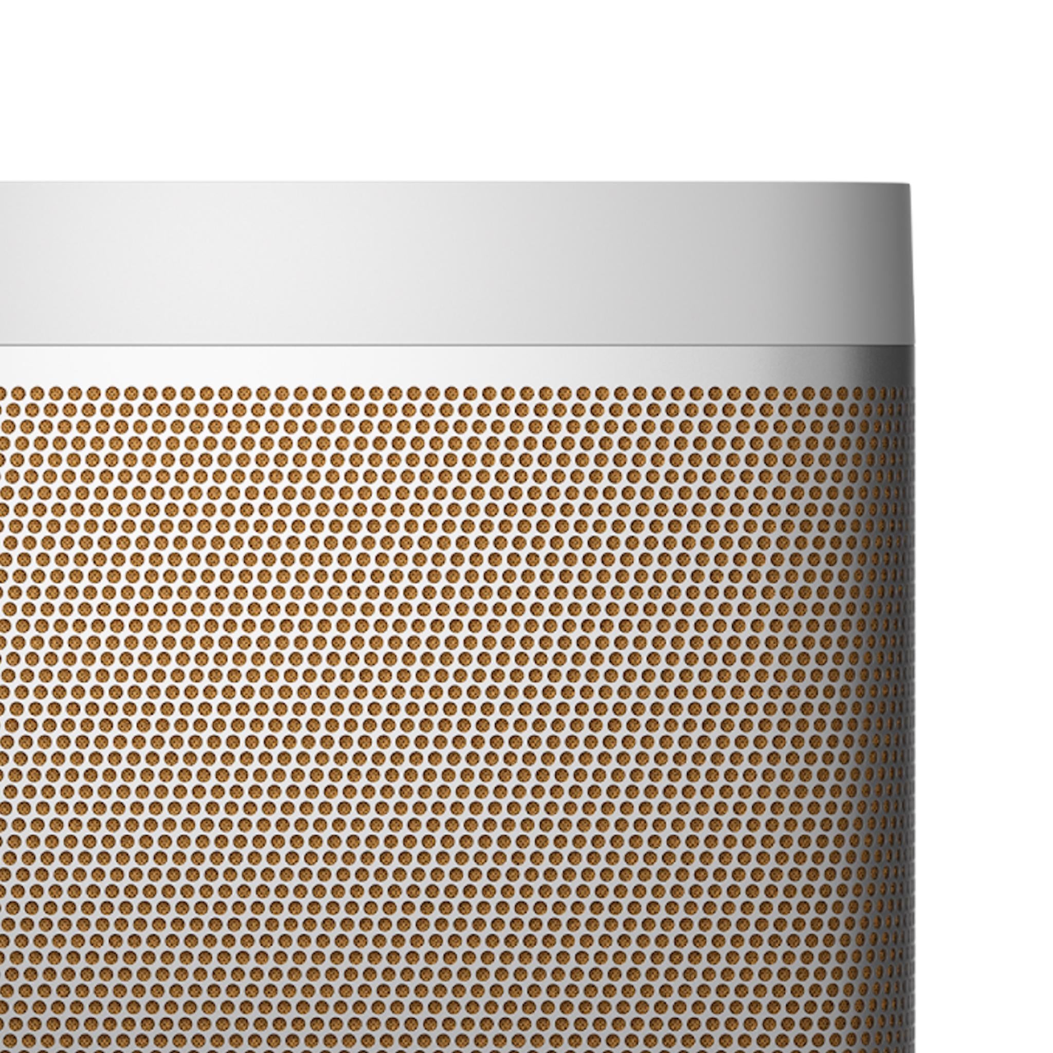 Bang & Olufsen Beolit 20 - Portable Bluetooth Speaker - AVStore