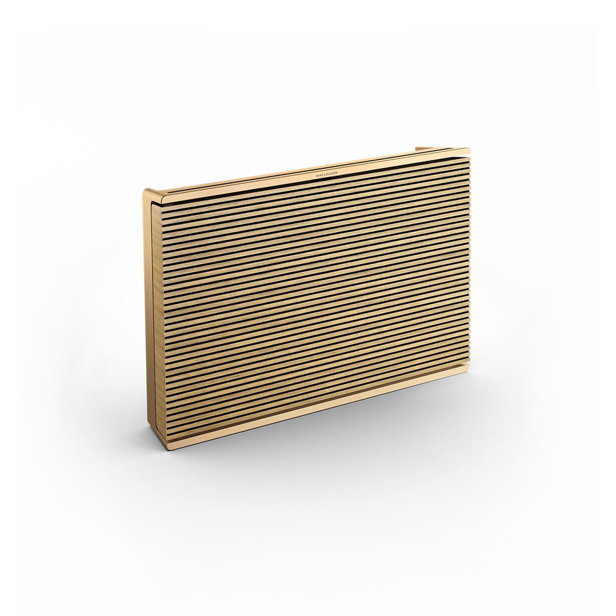 Bang & Olufsen Beosound Level - Portable WiFi Speaker - AVStore