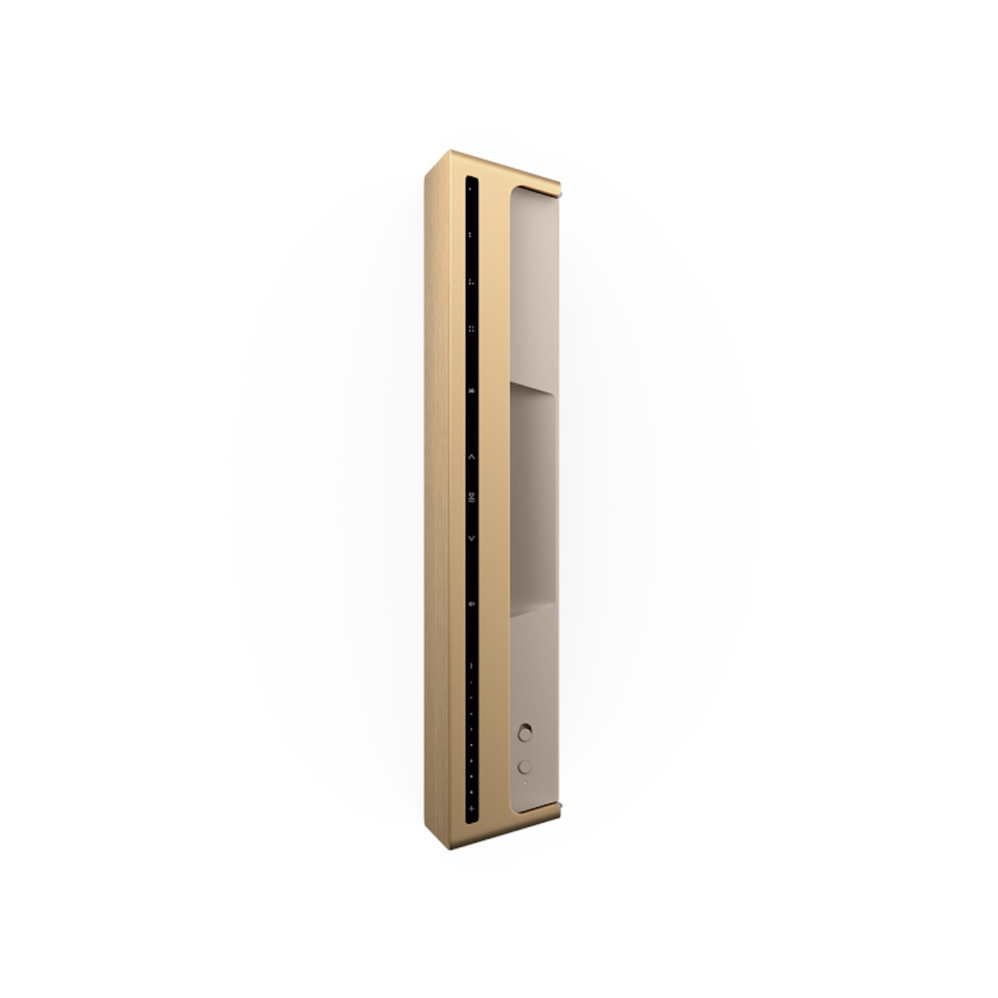 Bang & Olufsen Beosound Level - Portable WiFi Speaker - AVStore