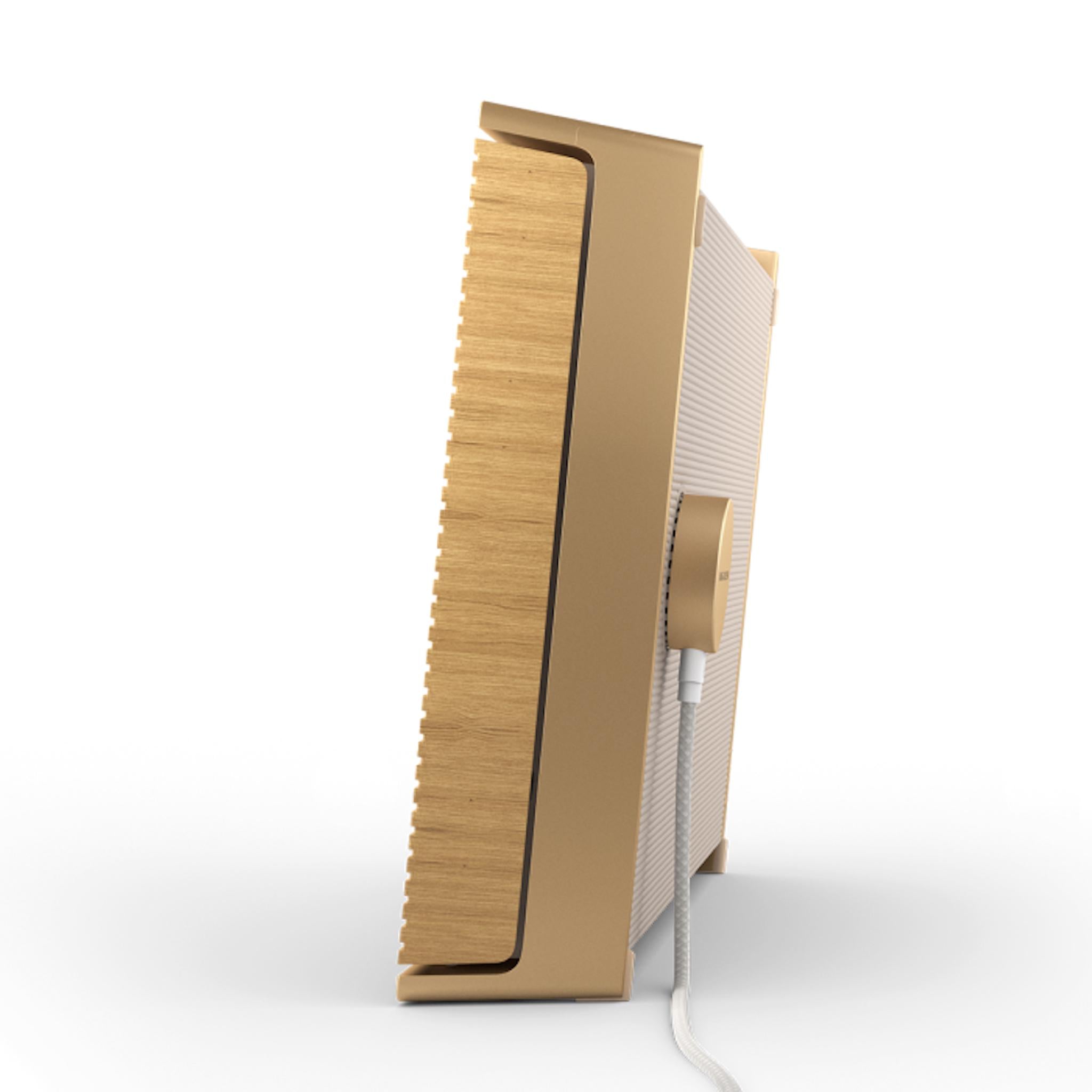 Bang & Olufsen Beosound Level - Portable WiFi Speaker - AVStore