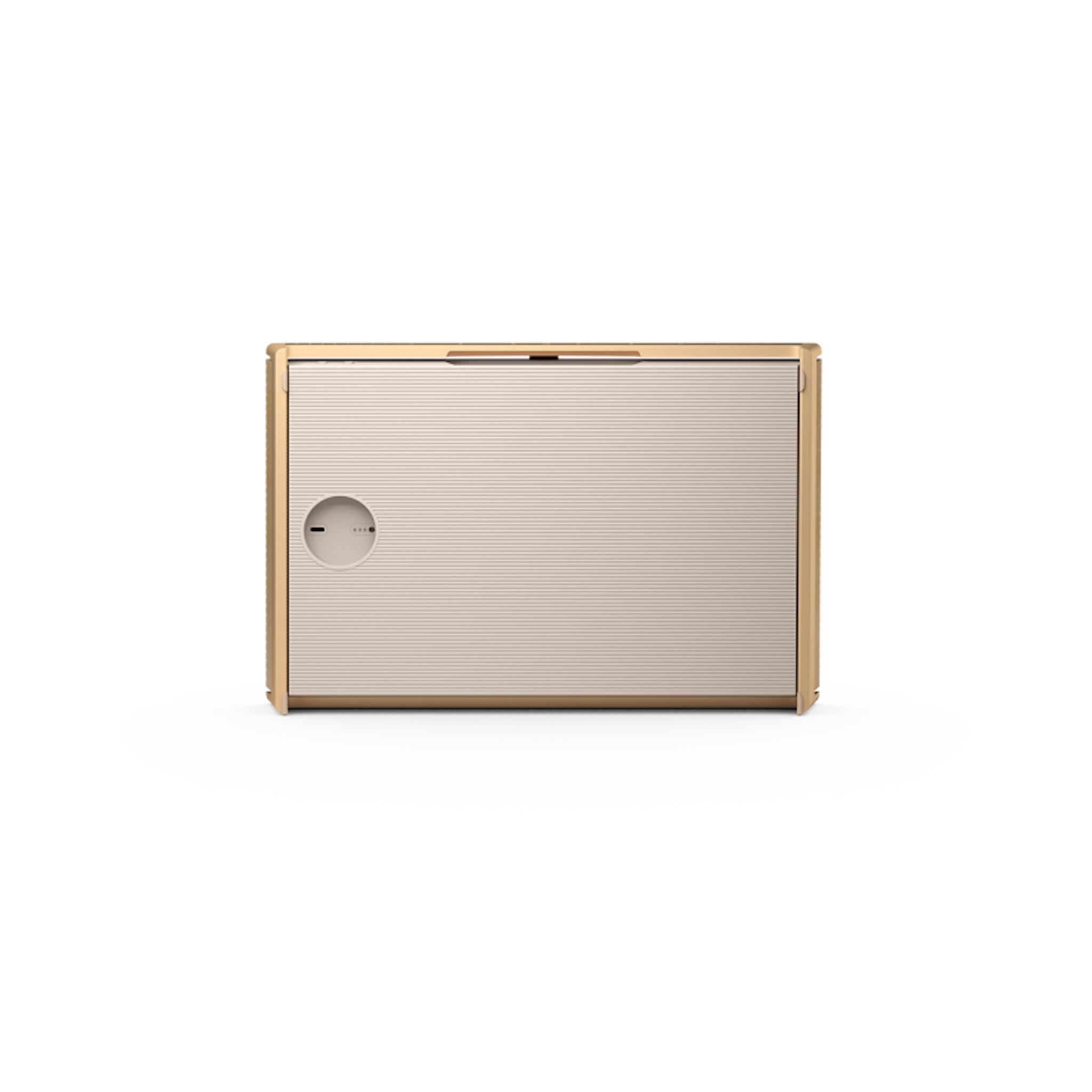 Bang & Olufsen Beosound Level - Portable WiFi Speaker - AVStore