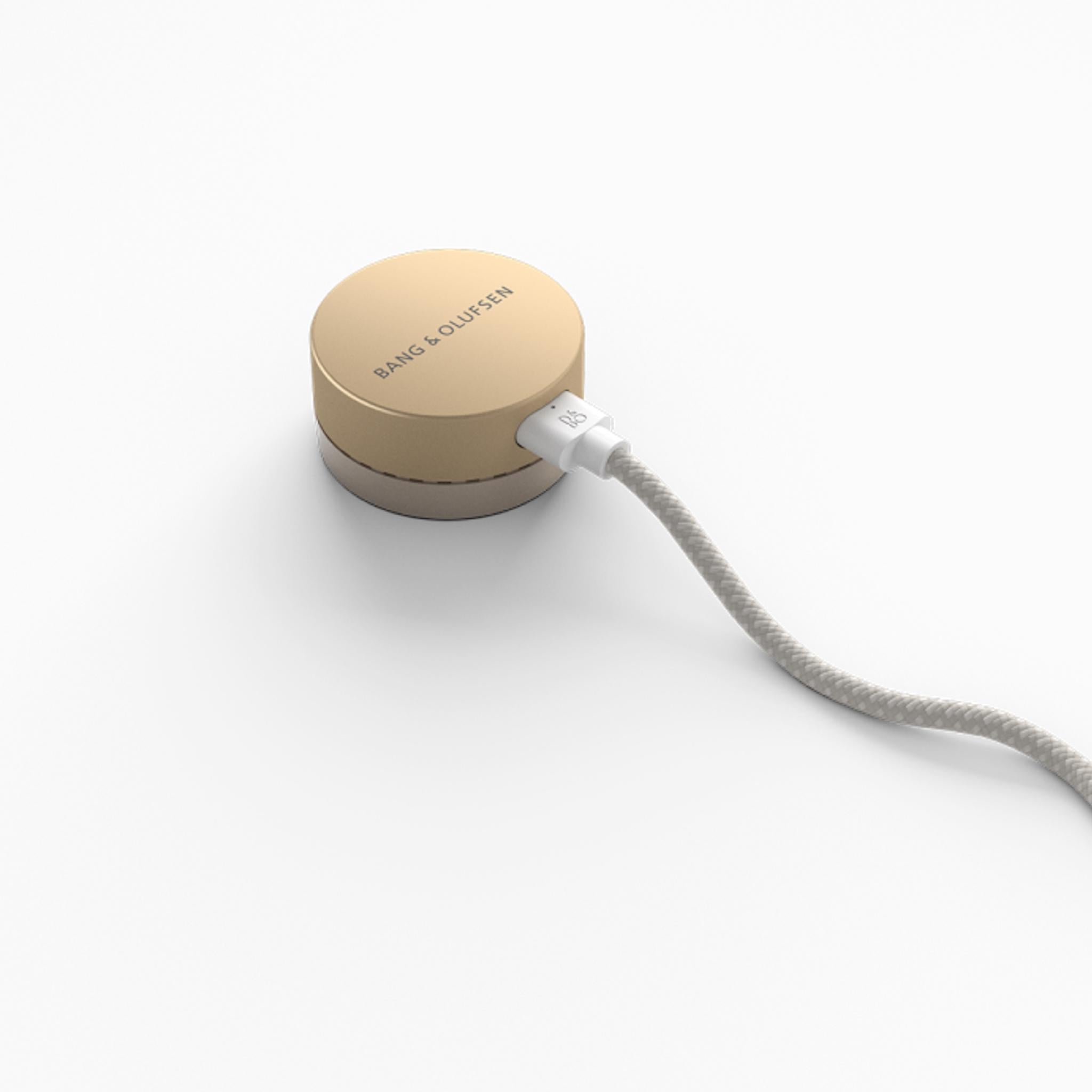 Bang & Olufsen Beosound Level - Portable WiFi Speaker - AVStore