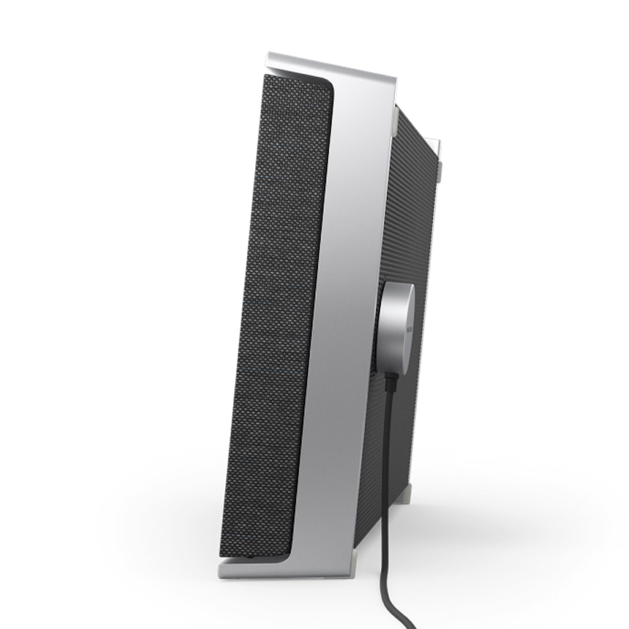 Bang & Olufsen Beosound Level - Portable WiFi Speaker - AVStore