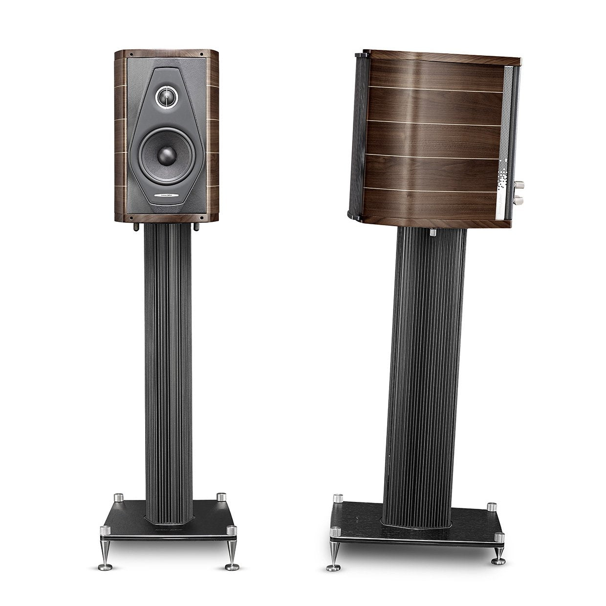 Sonus Faber Olympica I (Bookshelf Speaker - Pair), Sonus Faber, Bookshelf Speaker - AVStore.in