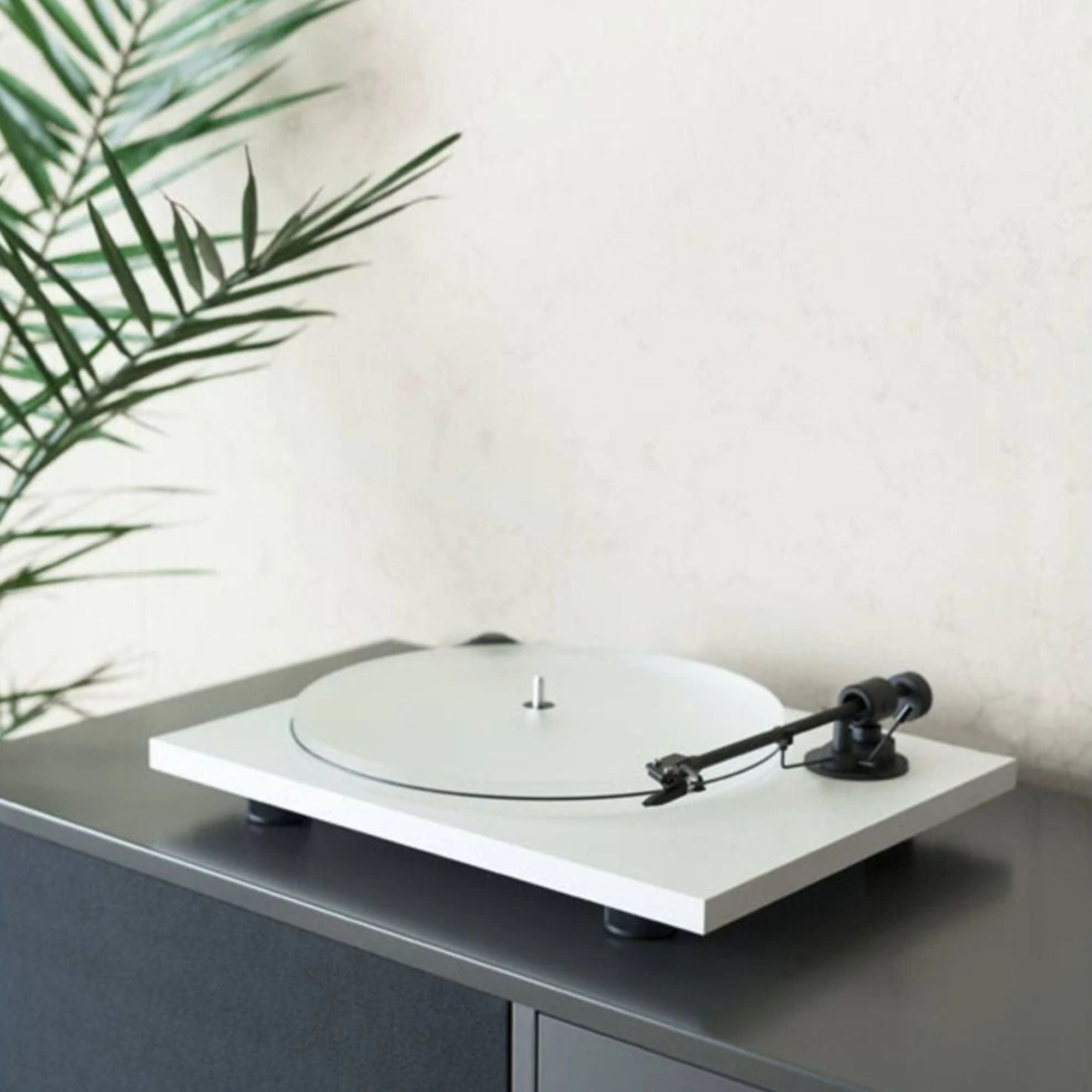 Pro-Ject Audio Primary E Phono Vinyl Turntable, Pro-Ject Audio Systems, Turntable - AVStore.in