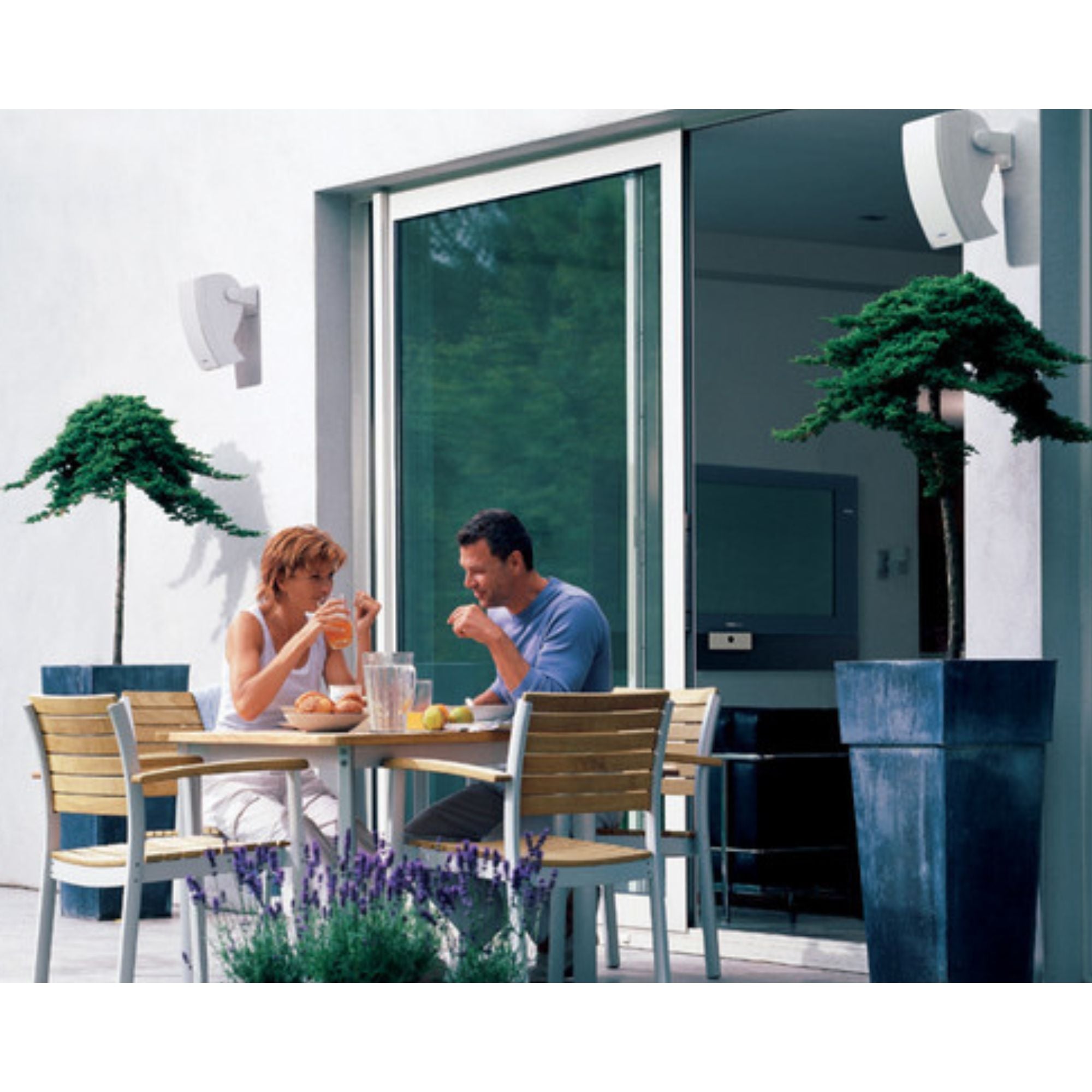 Bose 251® environmental speakers