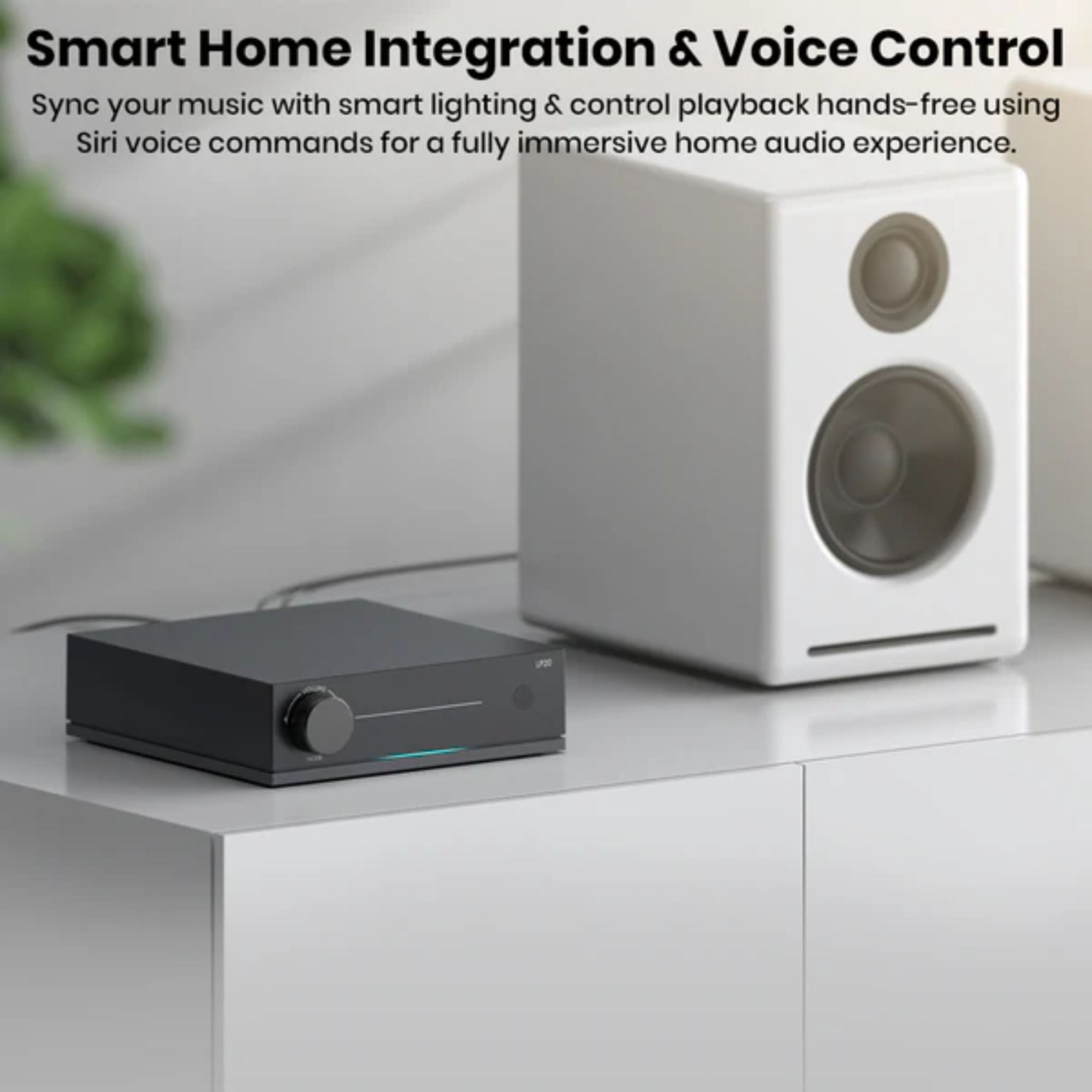 Arylic LP20 Wireless Music Streamer with DAC, Arylic, DAC - AVStore.in