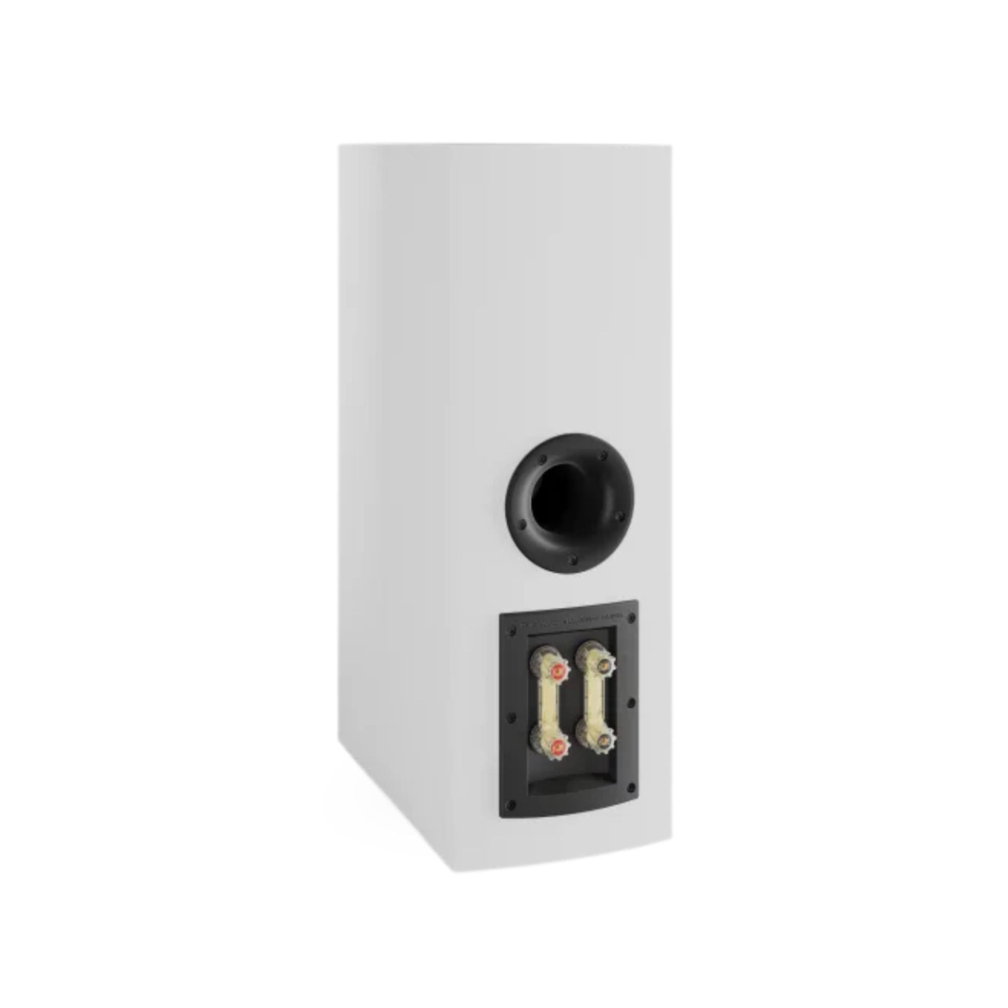 Dali Rubikore Cinema Loudspeaker