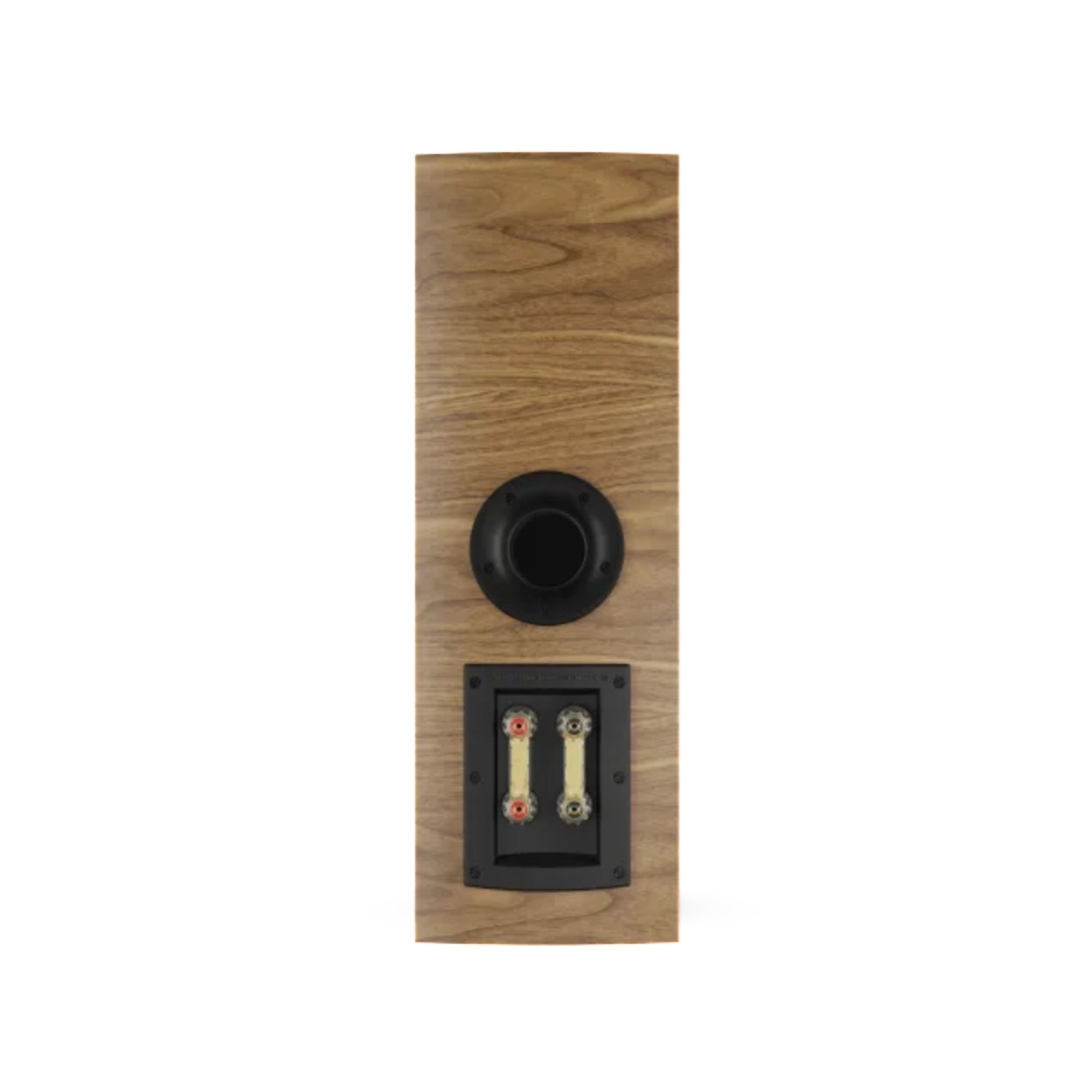Dali Rubikore Cinema Loudspeaker