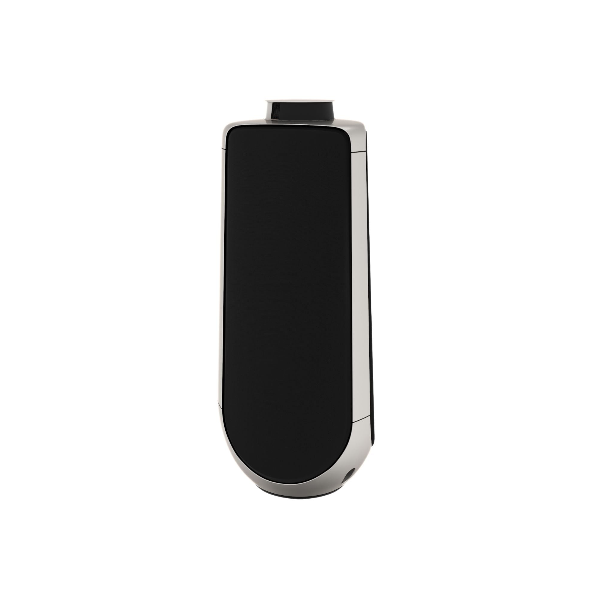 Bang & Olufsen Beolab 50 - Stereo Speakers