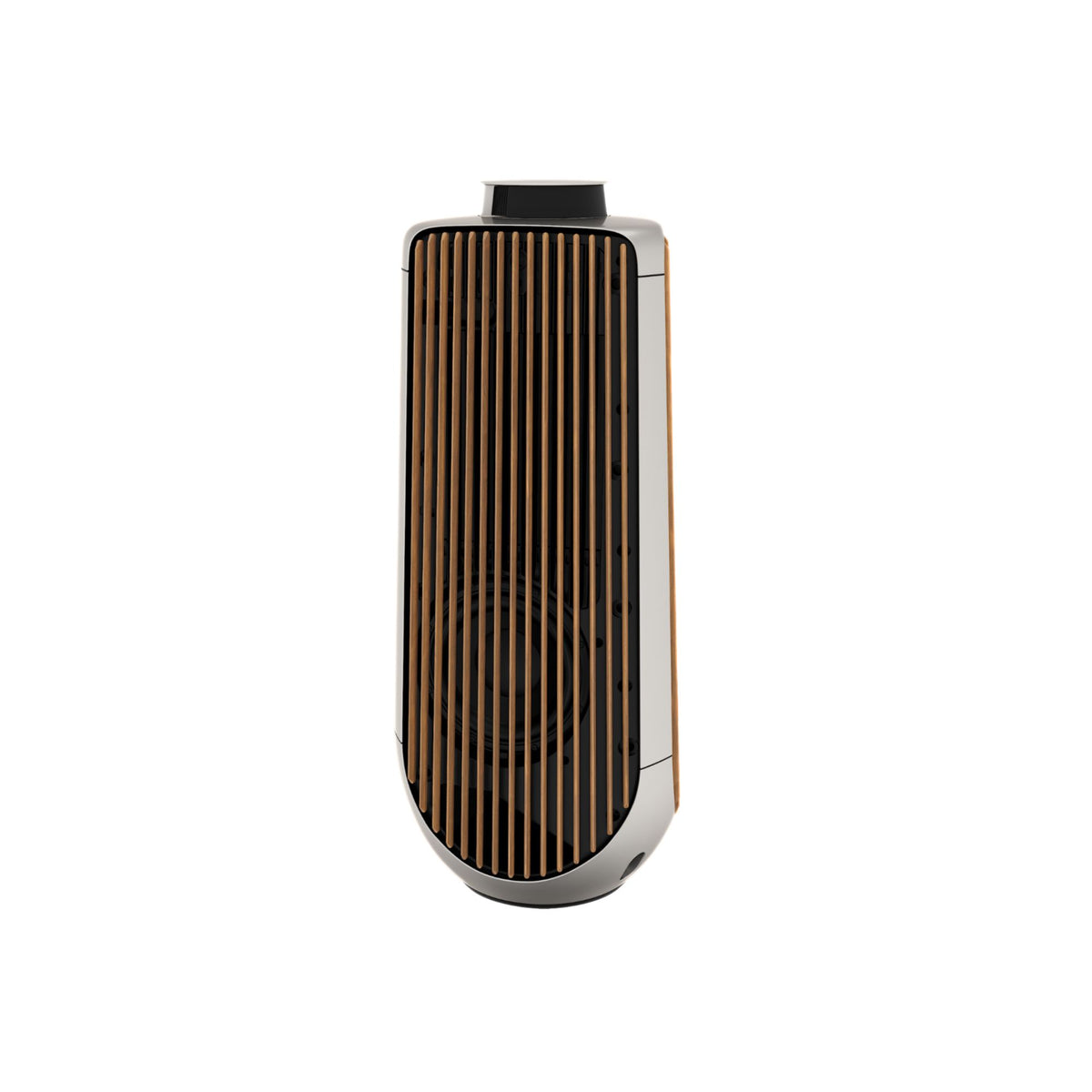 Bang & Olufsen Beolab 50 - Stereo Speakers