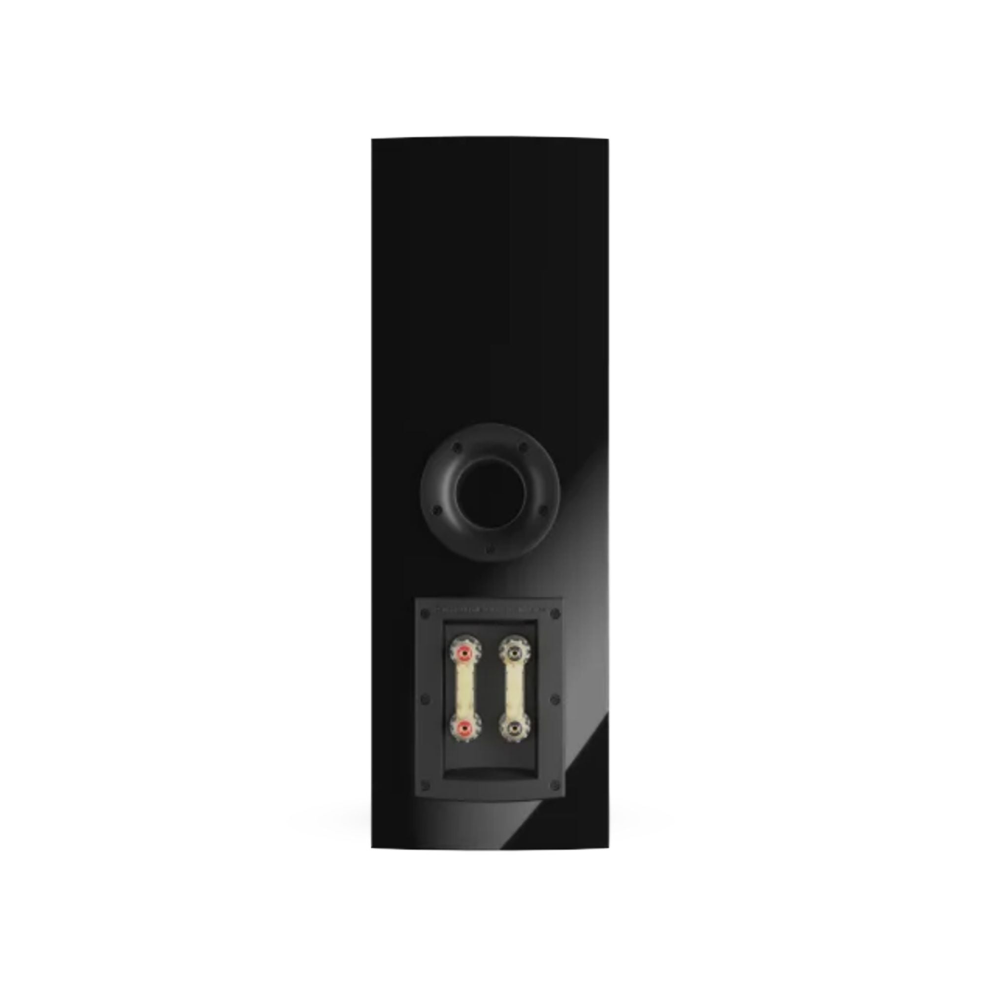 Dali Rubikore Cinema Loudspeaker