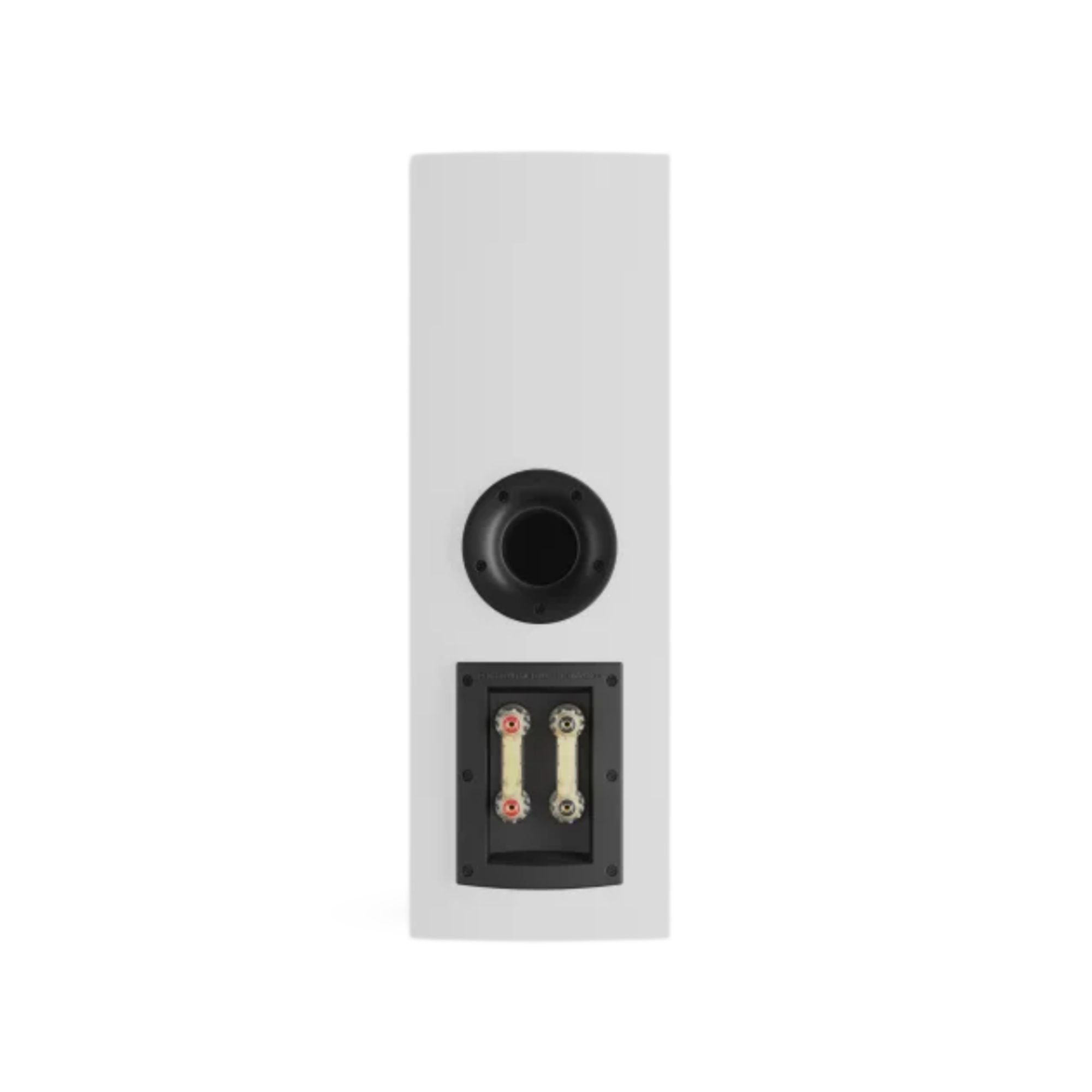 Dali Rubikore Cinema Loudspeaker