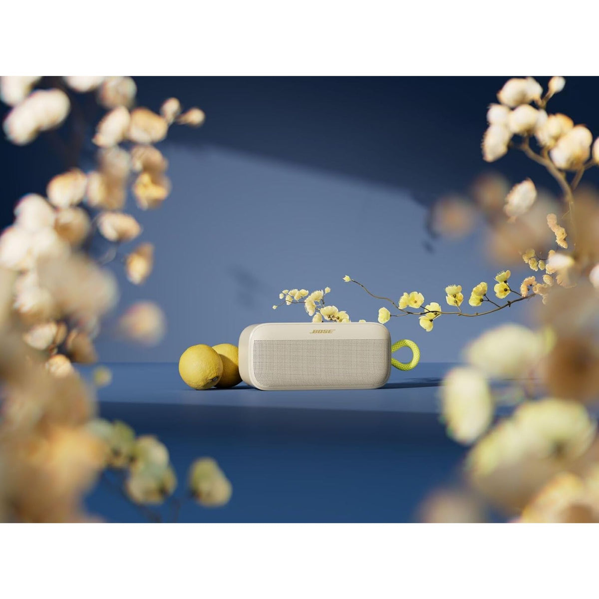 Bose SoundLink Plus Portable Speaker