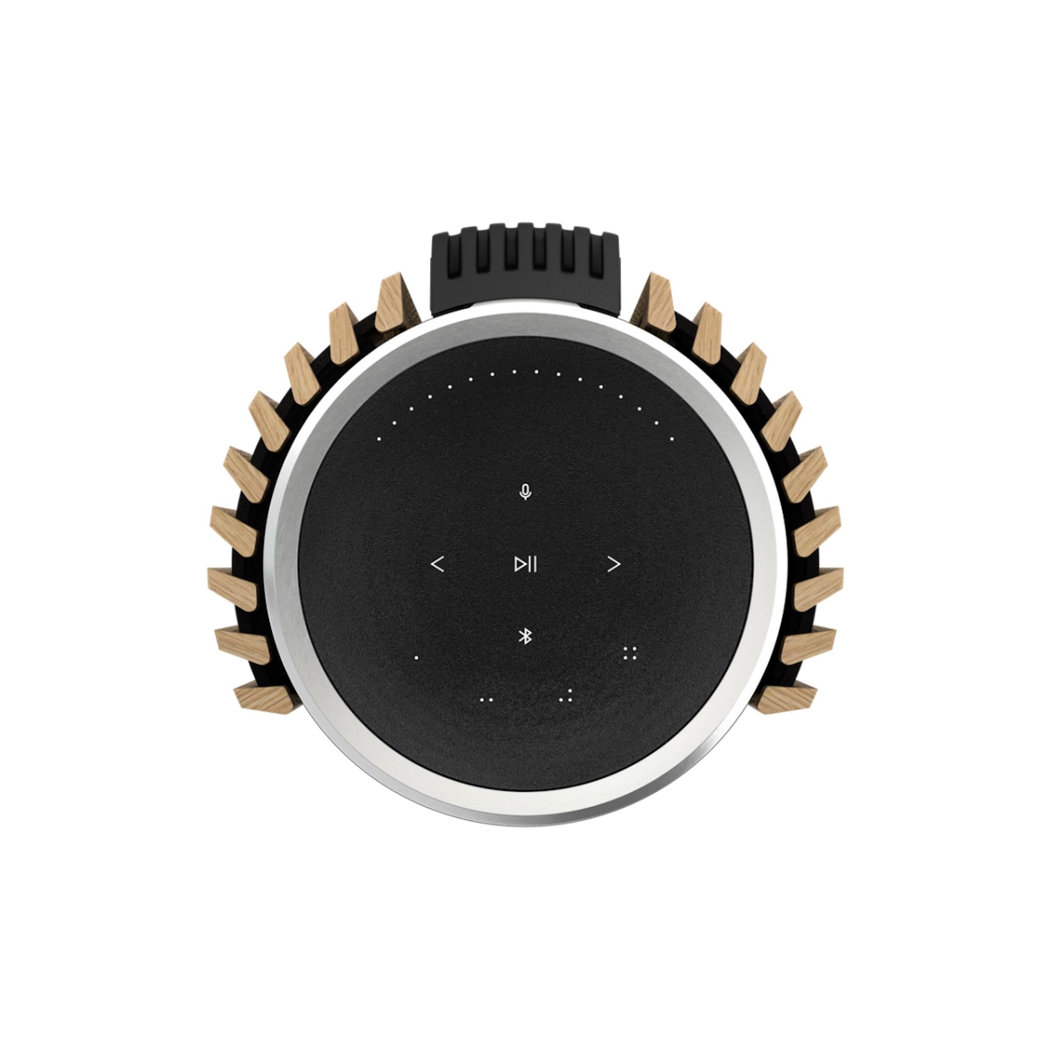 Bang & Olufsen Beolab 28 - Hi-res Wireless Stereo Speakers - Pair - AVStore