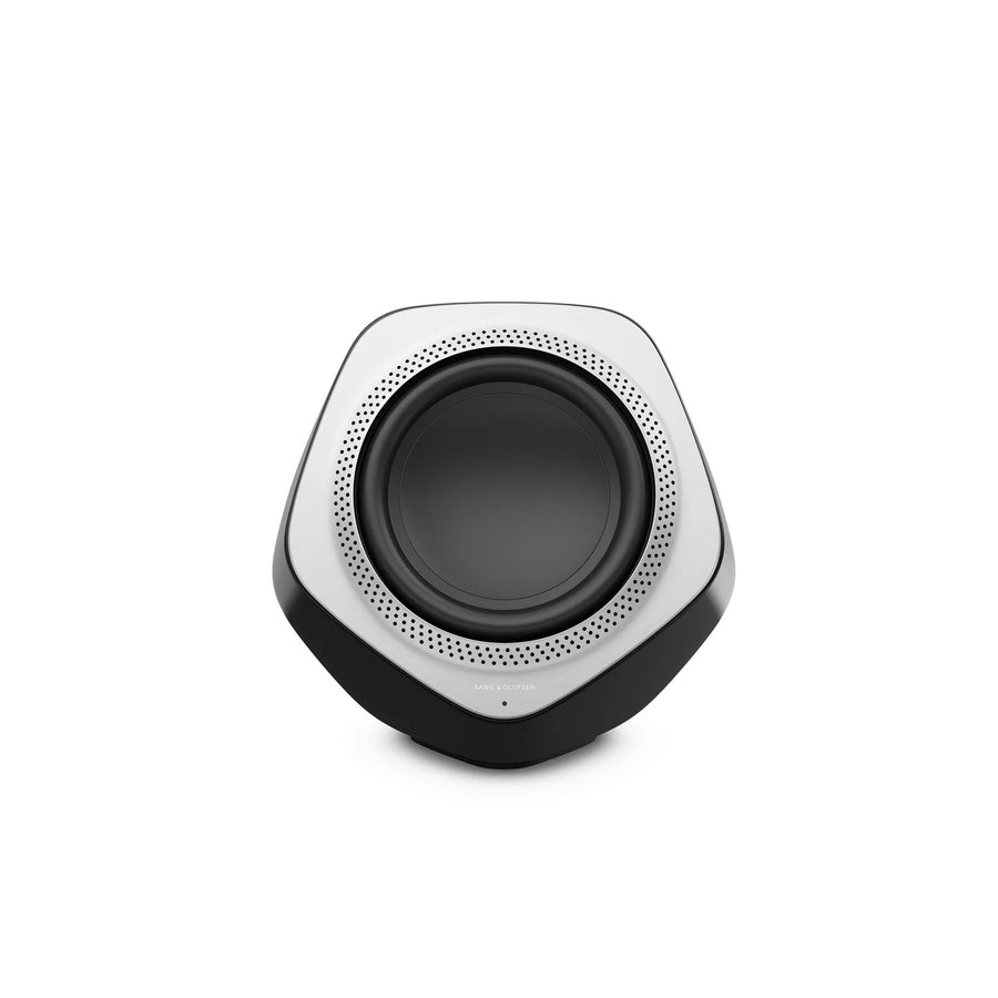 Bang & Olufsen Front Cover Silver Galena for BeoLab 2500 (Neu (gemäss