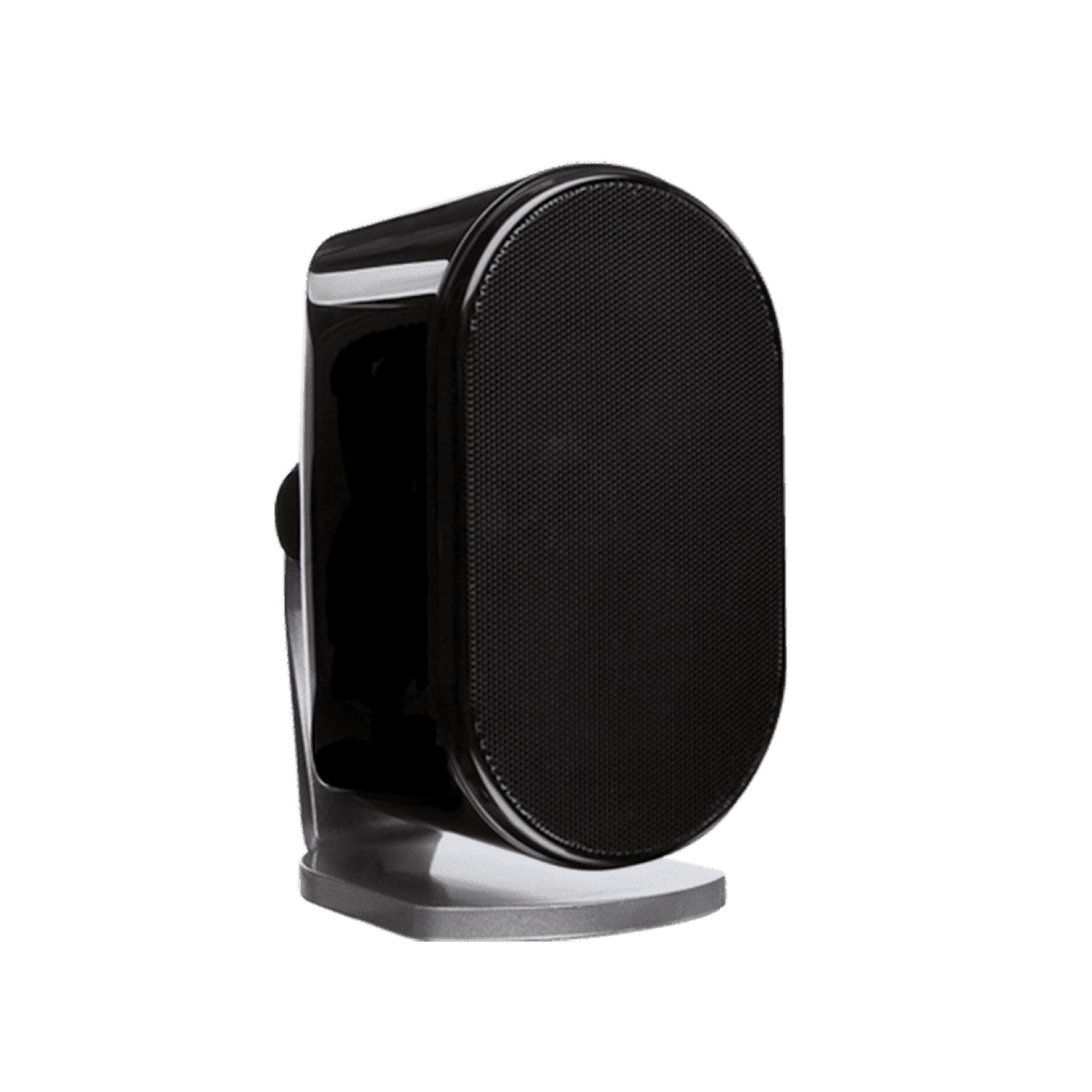 Paradigm store speaker mounts